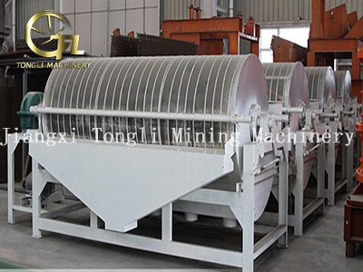 Magnetic Separator production case